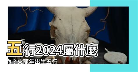 火龍年|2024是火龍年嗎？專家解析關鍵年運勢指南 